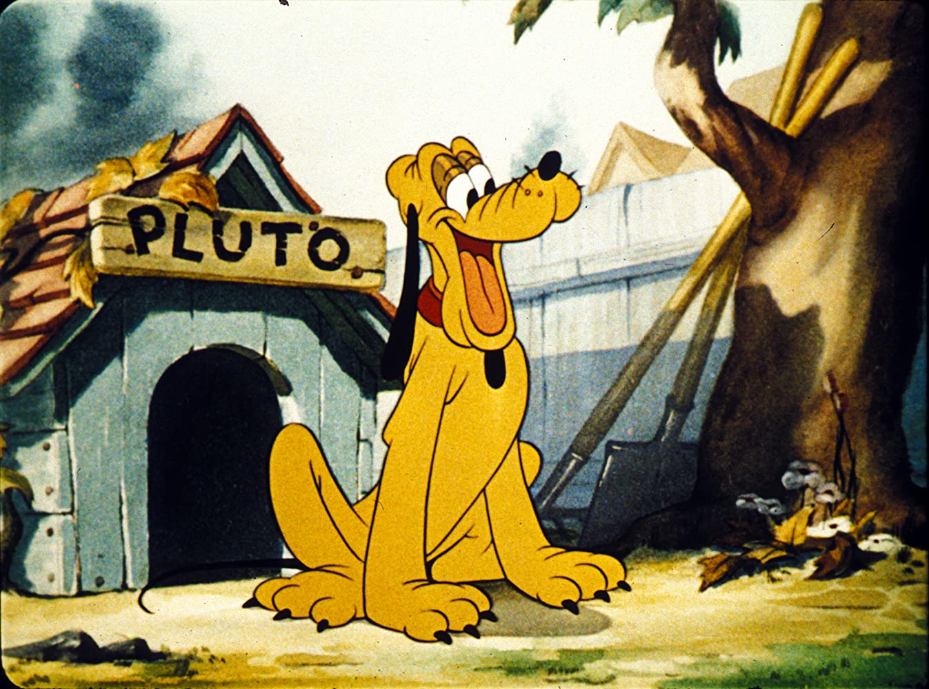 Ambiguo Prosperar seco Quién es “Pluto”, el perro amarillo de Disney? - Wow Mascota